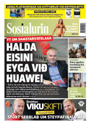 Síða 1