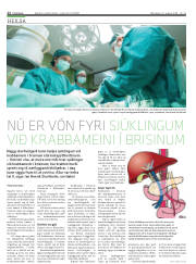 Síða 12