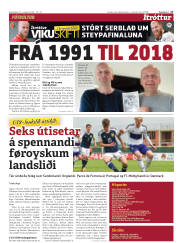 Síða 17