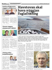 Síða 20