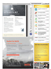 Síða 21