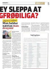 Síða 5