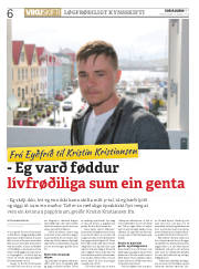 Síða 6