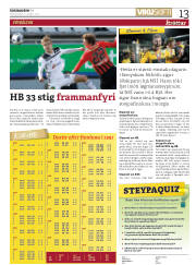 Síða 13