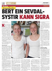 Síða 18