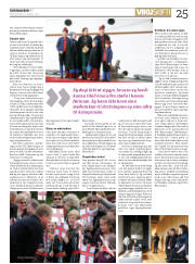 Síða 25