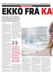 Síða 6