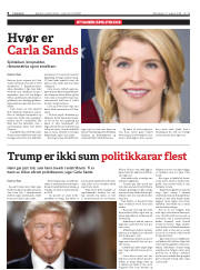 Síða 8