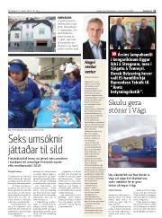 Síða 11