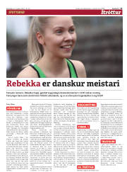 Síða 13
