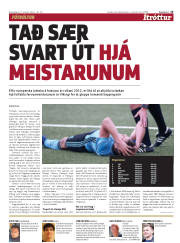 Síða 15