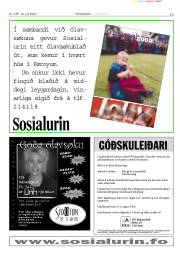 Síða 19