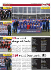Síða 17