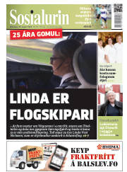 Síða 1