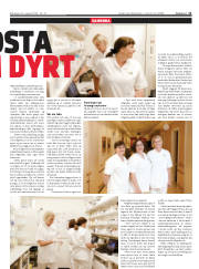Síða 11
