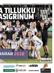 Síða 13