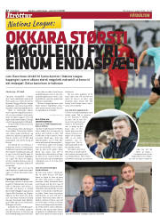 Síða 22
