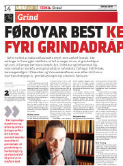 Síða 14