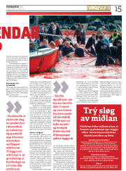 Síða 15