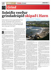 Síða 16