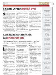 Síða 17