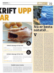 Síða 19