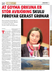 Síða 20