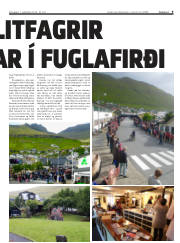 Síða 9