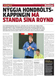 Síða 15