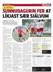 Síða 17