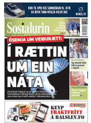 Síða 1