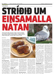 Síða 4