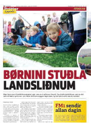 Síða 14