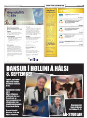 Síða 19