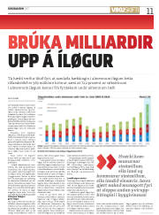 Síða 11