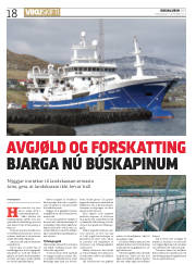 Síða 18