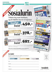 Síða 41