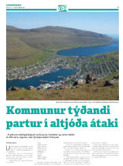 Síða 43