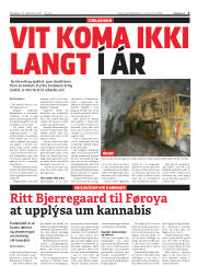 Síða 5
