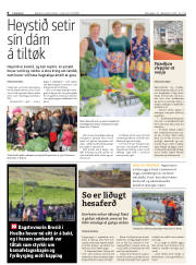 Síða 8