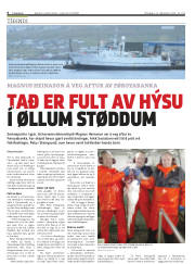 Síða 6