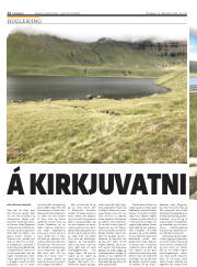 Síða 12