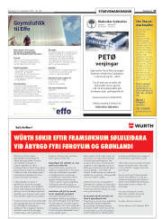Síða 19