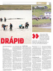 Síða 11