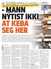 Síða 12
