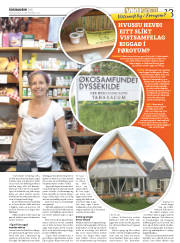 Síða 13