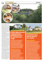 Síða 14
