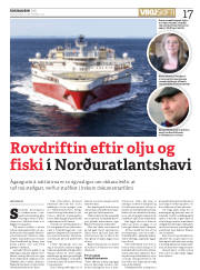 Síða 17