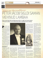 Síða 20