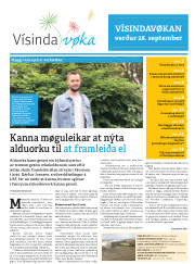 Síða 29